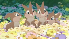 Thumper's sisters