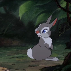bambi wiki fandom