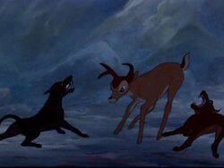 Hunting Dogs Gallery Bambi Wiki Fandom