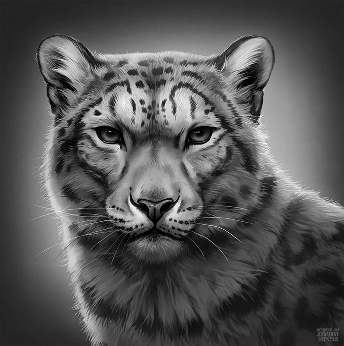 Winter Bamboo Kingdom Wiki Fandom