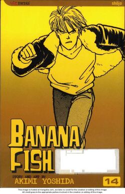 Banana Fish Manga Volume 14