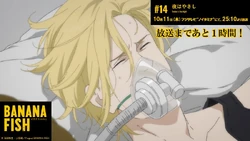 Episode 14 Tender Is The Night Banana Fish Wiki Fandom Episode 14 Tender Is The Night Banana Fish Wiki Fandom