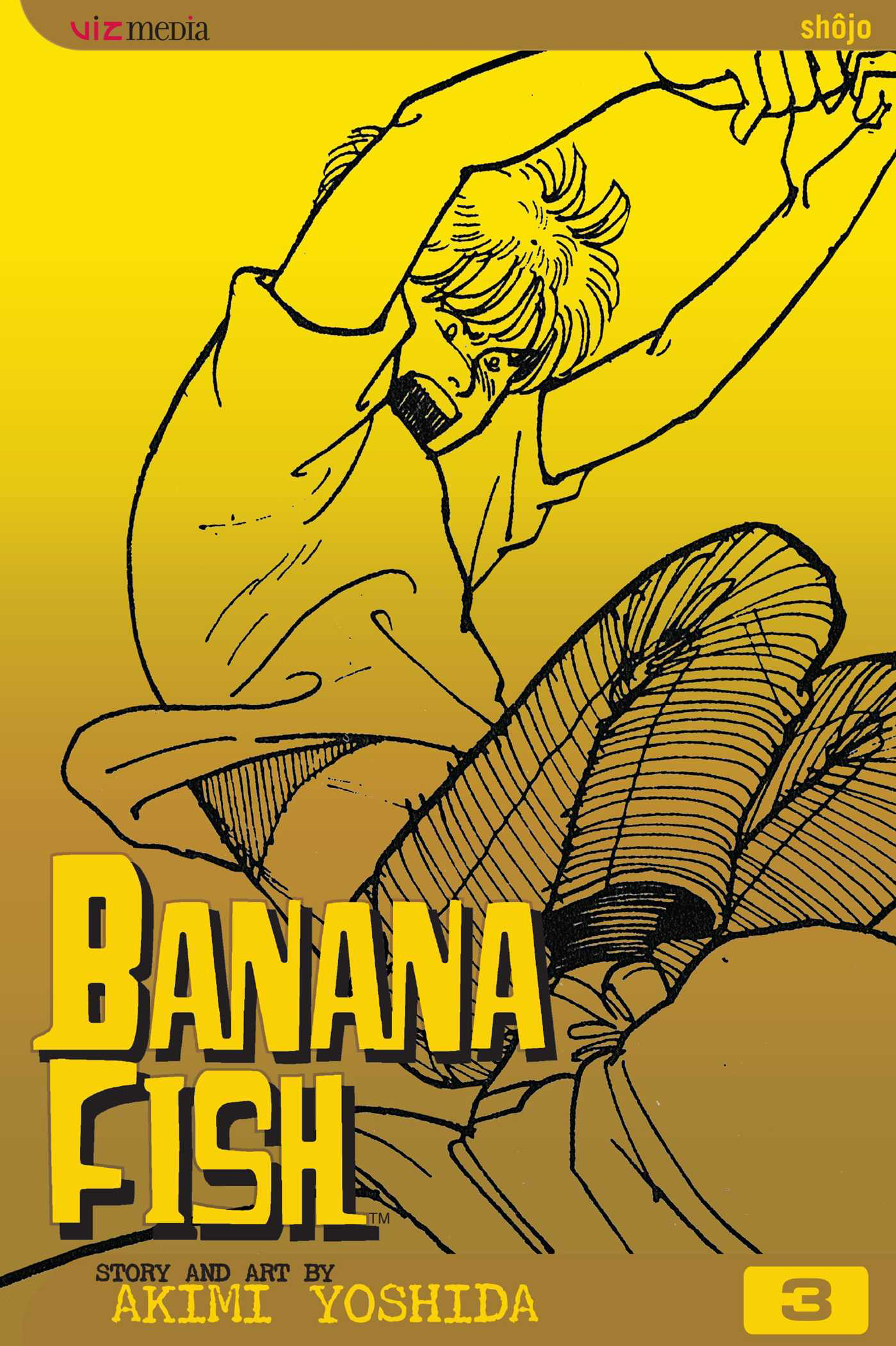 Banana Fish Manga Volume 9