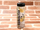 Cafe and Bar water bottle.png