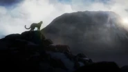 The leopard on the mountain in the intro.jpg (52 KB) BERJAYA