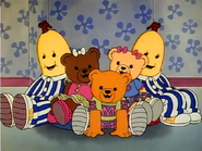 The Bananas and the Teddies