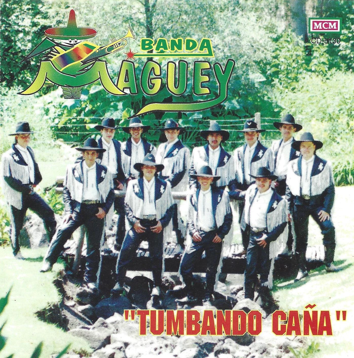 Anexo:Discografia de Banda Maguey | Wikibanda | Fandom