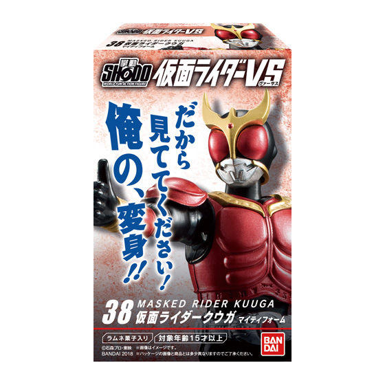 BANDAI Set of 5 SHODO Masked Rider Kamen Rider VS 9 Full Set 