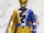 Sentai Hero Series RyuSoul Gold