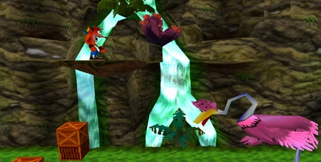 Один из страусов.