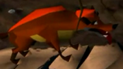 Dingo2