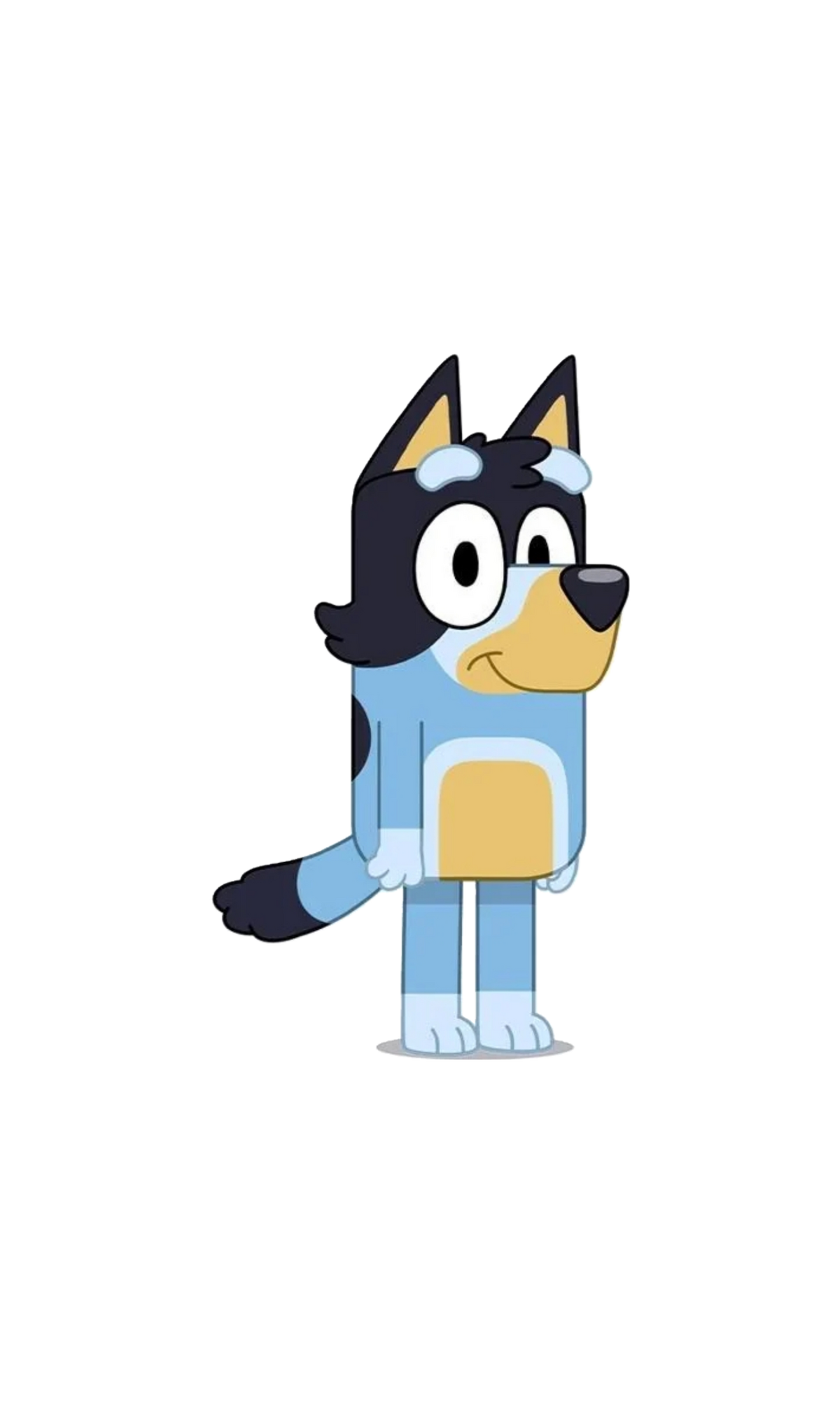 bandit-heeler-voice-actor-01
