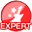 Expert