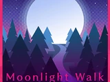 Moonlight Walk
