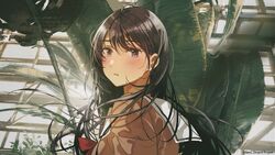 「BanG Dream!」～音一会/MyGO!!!!! 9-0707-12 Bang Dream 12th Live Key visuals for MyGO and RAS : r/BanGDream