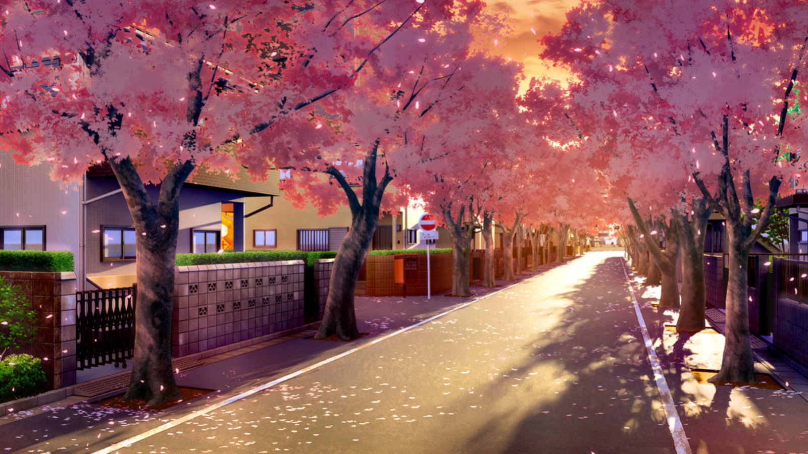 Girl's Blossom Project/Misaki Route | BanG Dream! Wikia | Fandom