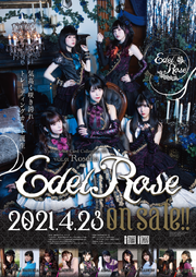 Edel Rose pos