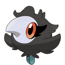 Toxel, International Pokédex Wiki