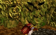 Boulders blocking the path to Mumbo's Mountain.