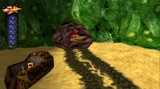 Dragon Kazooie going to destroy a Talon Torpedo Door.