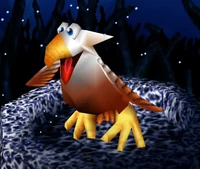 Eyrie all grown up in Winter.