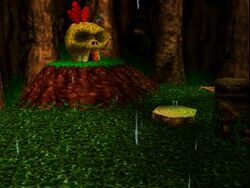 Click Clock Wood, Banjo-Kazooie Wiki