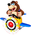 Banjo pilot