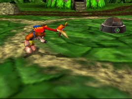 Banjo tooie-peck