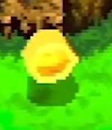 A Honeycomb in Banjo-Kazooie: Grunty's Revenge.