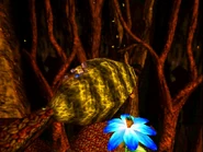 Nest2.jpg (222 KB) The Zubba's Nest from a high view.