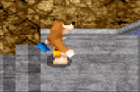 An animated gif of the Pack Whack in Banjo-Kazooie: Grunty's Revenge.