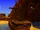 Treasure Trove Cove