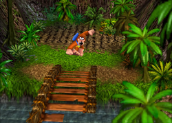 Project Dream / Banjo Kazooie [N64 - Beta / Proto / Test Level] - Unseen64