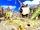 Showdown Town