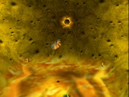 Nest3.jpg (195 KB) The inside of the nest.