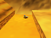 Using a glitch, Bee Banjo is invulnerable to the hot sands of Gobi's Valley.