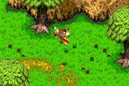 The Flap Flip as seen in Banjo-Kazooie: Grunty's Revenge.