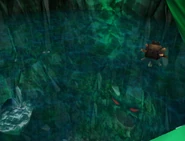 Water-Level Raising Room