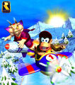 A plane race in the snow with Wizpig and Diddy Kong.