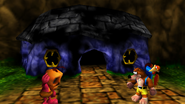 Banjo, Kazooie, and Mumbo Jumbo in front of what remains of the bear and bird's house.