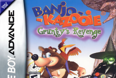 Banjo-Kazooie DS Nintendo DS Box Art Cover by TITROTU