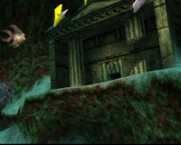 The Seaweed Sanctum (exterior)
