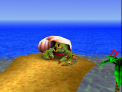 Banjo-Kazooie/Treasure Trove Cove — StrategyWiki