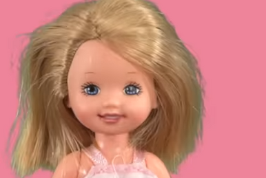 Chelsea s Broken Leg Barbie Grace s World Wiki Fandom