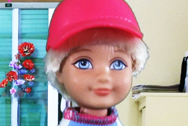 Barbie chelsea's first crush sales