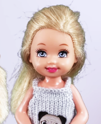 Samantha and the Sixettes Barbie Grace s World Wiki Fandom