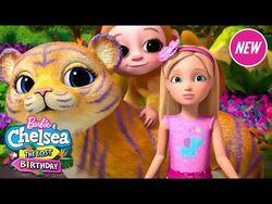 Chelsea barbie birthday best sale