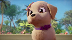Barbie-puppychase-disneyscreencaps.com-296