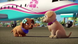 Barbie-puppychase-disneyscreencaps.com-300
