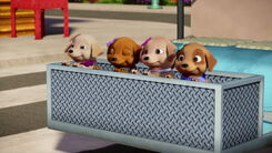 Barbie-puppychase-disneyscreencaps.com-687